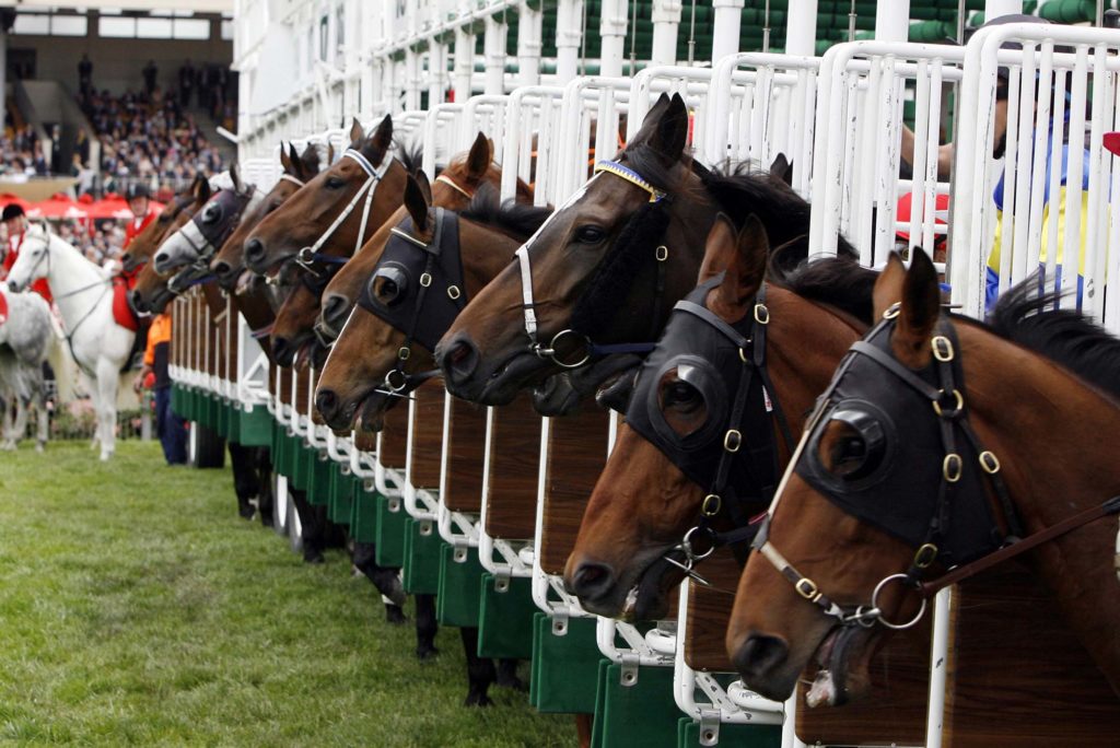 horse racing tipping service, New Home