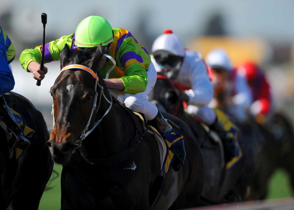 horse racing tipping service, New Home