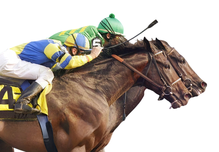 Horse Racing odds, The Science of betting &#8211; Odds comparison