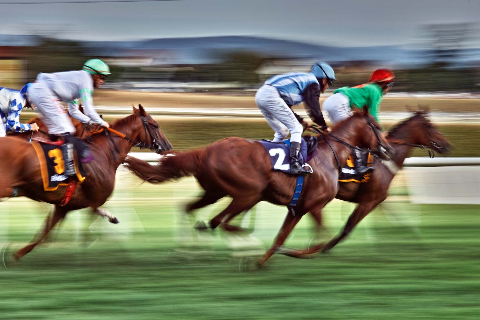 Professional Horse Racing Tipping Service - Elite Racing