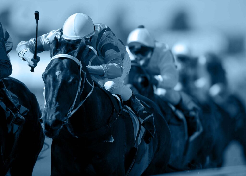 professional punter, How To Become A Professional Punter