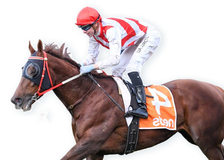 melbourne membership, Melbourne Membership