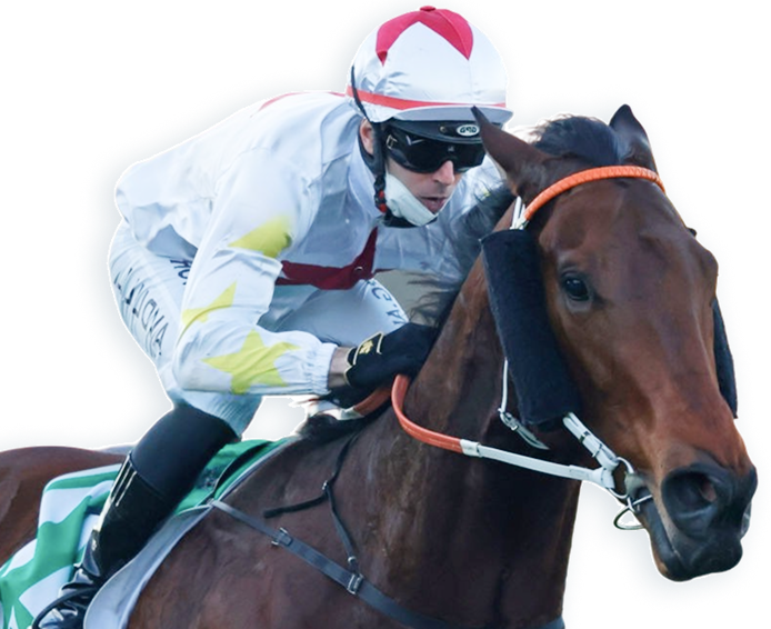 horse racing tipping service, New Home