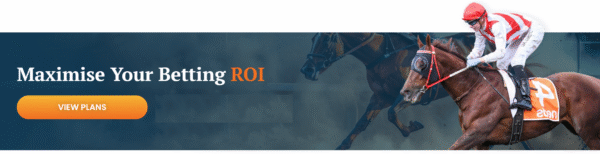 Australia's leading racing consultancy, Why Elite Racing is Australia’s Leading Racing Consultancy