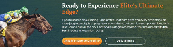 Australia's leading racing consultancy, Why Elite Racing is Australia’s Leading Racing Consultancy